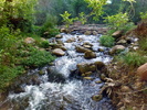 photo thumbnail #2