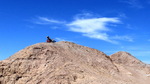 photo thumbnail #1