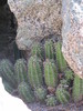 photo thumbnail #13