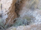 photo thumbnail #14