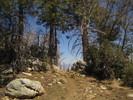 photo thumbnail #2