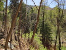 photo thumbnail #5