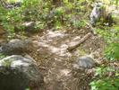 photo thumbnail #11