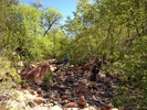 photo thumbnail #14
