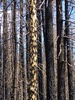 photo thumbnail #13