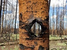 photo thumbnail #9