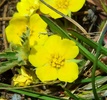 photo thumbnail #14