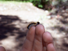 photo thumbnail #2