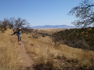 photo thumbnail #1