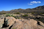 photo thumbnail #6
