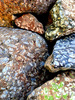 photo thumbnail #13