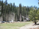photo thumbnail #7