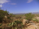 photo thumbnail #1