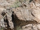 photo thumbnail #10