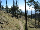 photo thumbnail #6