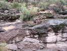 photo thumbnail #13