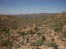 photo thumbnail #8