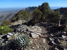 photo thumbnail #1