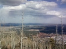 photo thumbnail #7
