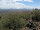 photo thumbnail #3