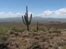 photo thumbnail #4