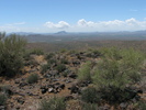photo thumbnail #5