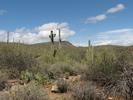 photo thumbnail #8