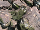 photo thumbnail #14