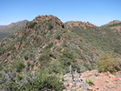 photo thumbnail #11