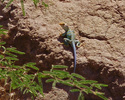 photo thumbnail #14