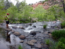 photo thumbnail #3