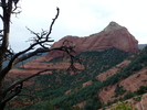 photo thumbnail #9