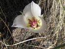photo thumbnail #15