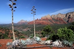 photo thumbnail #2