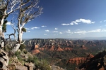 photo thumbnail #7