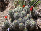 photo thumbnail #6