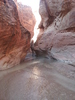 photo thumbnail #15