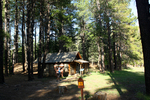 photo thumbnail #7