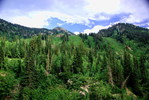 photo thumbnail #13