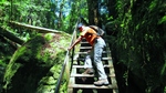 photo thumbnail #8