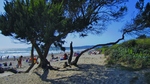 photo thumbnail #15