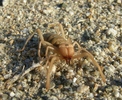 photo thumbnail #15