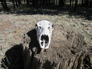 photo thumbnail #3