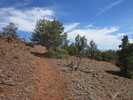 photo thumbnail #10