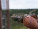 photo thumbnail #1
