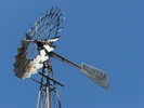 photo thumbnail #2