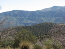 photo thumbnail #3