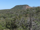 photo thumbnail #8