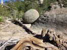 photo thumbnail #8