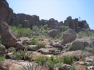 photo thumbnail #11